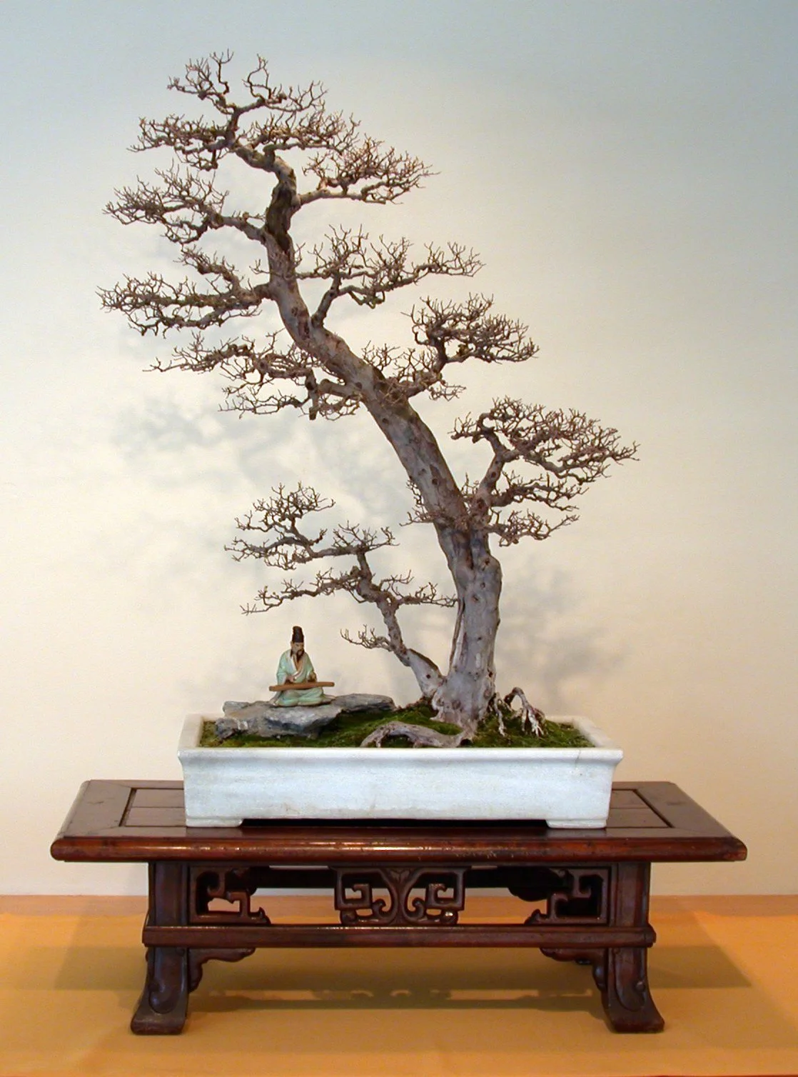 Winter Silhouettes — National Bonsai Foundation
